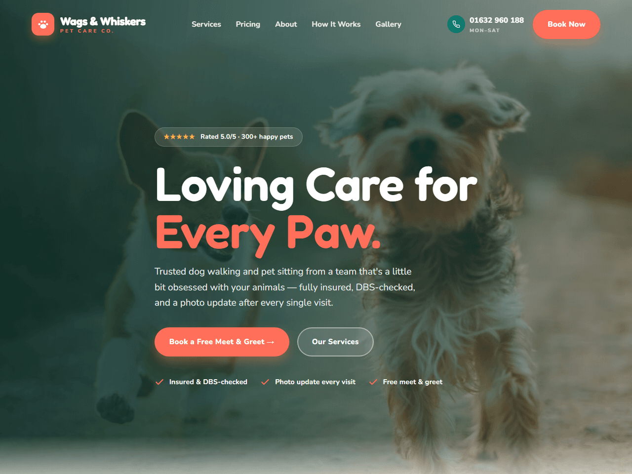 Wags & Whiskers — a website we designed and built